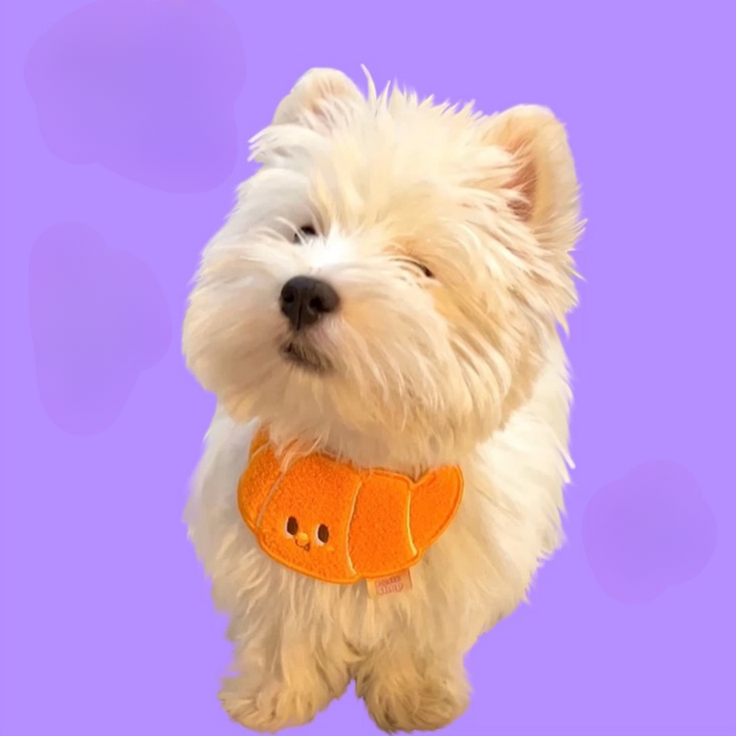 Cute Croissant Adjustable Pet Bib