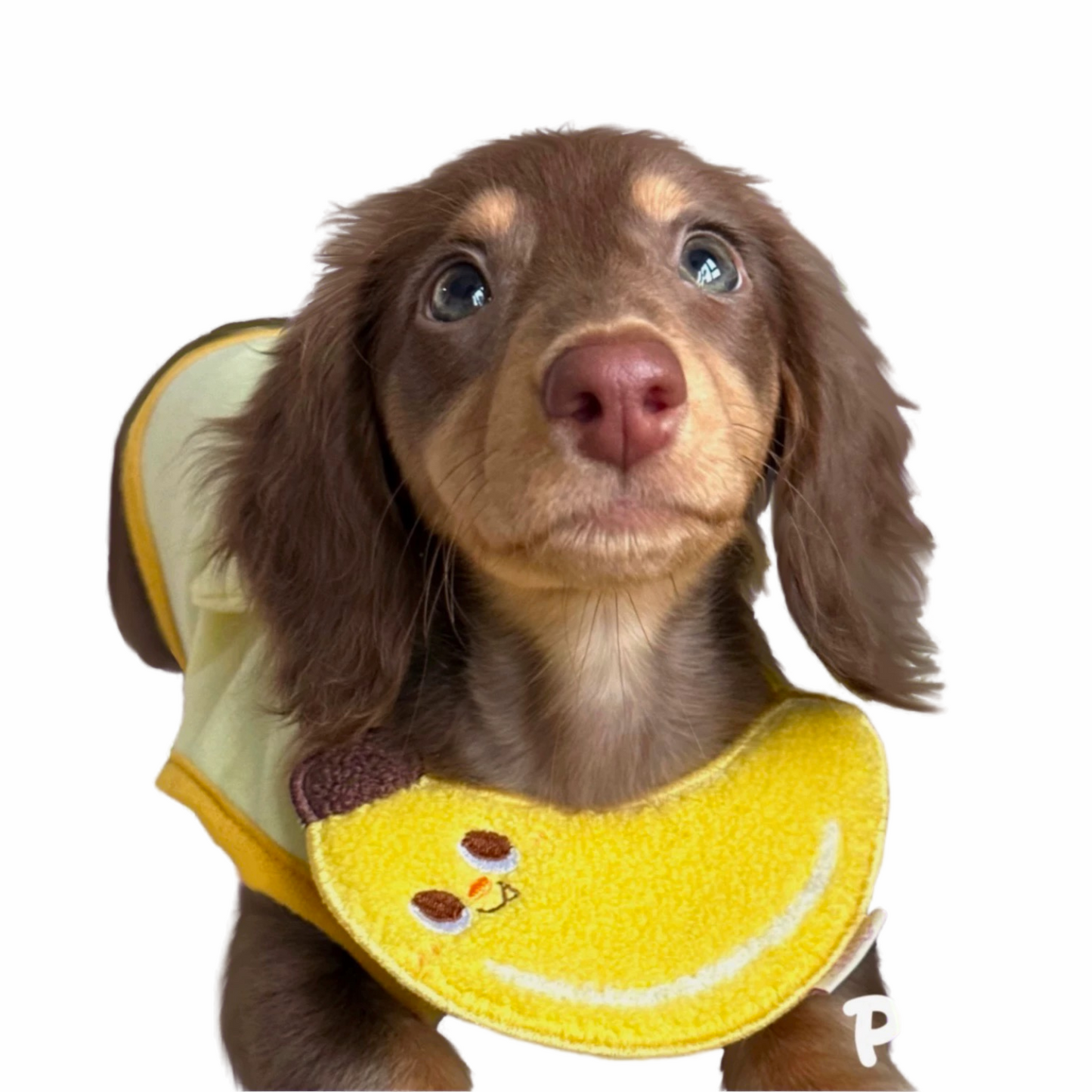 Cute Banana Towel Pet Bibs