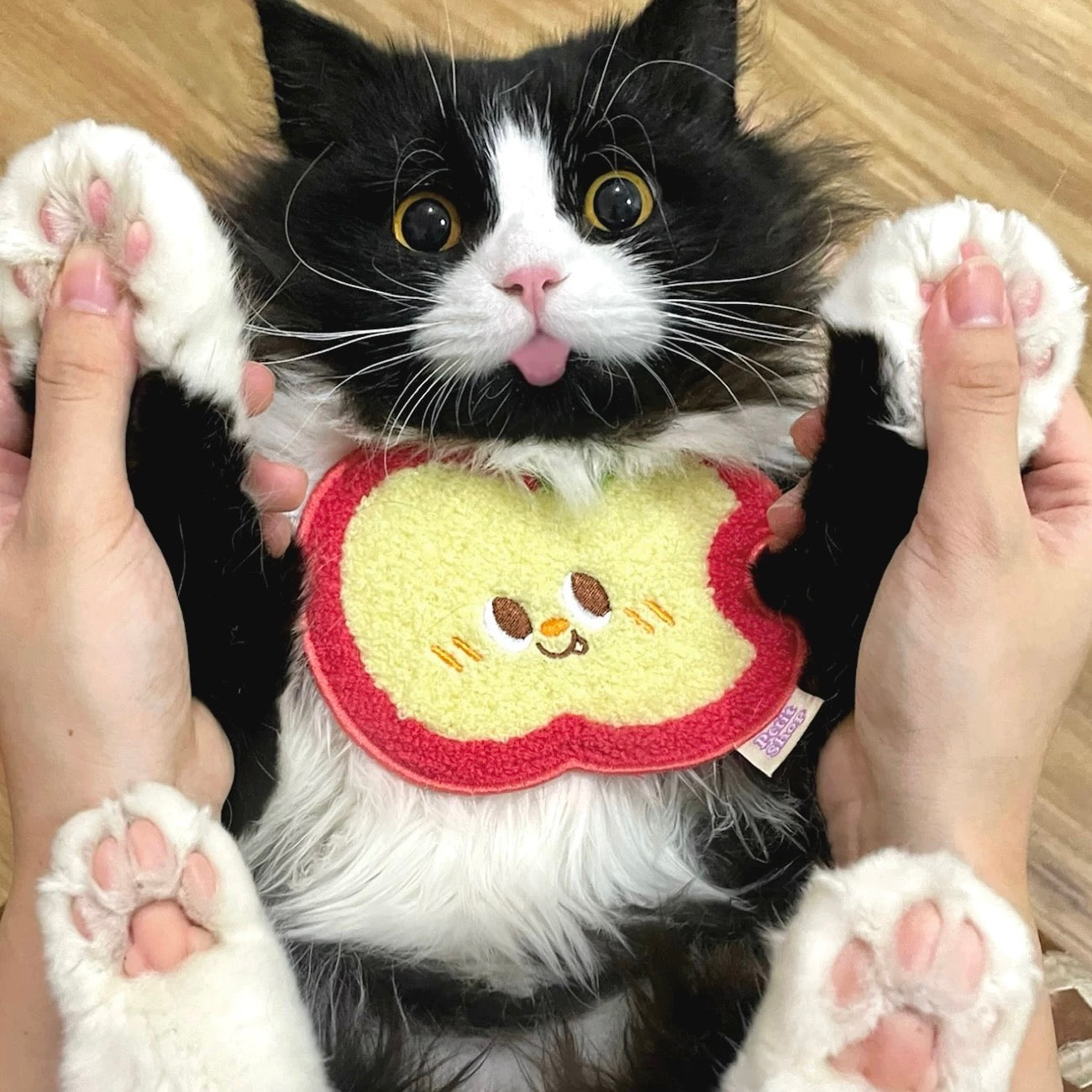 Cute Apple Soft Pet Bibs