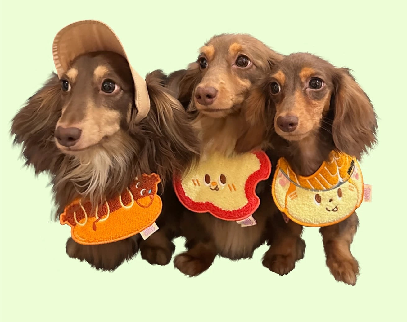Cute Apple Soft Pet Bibs