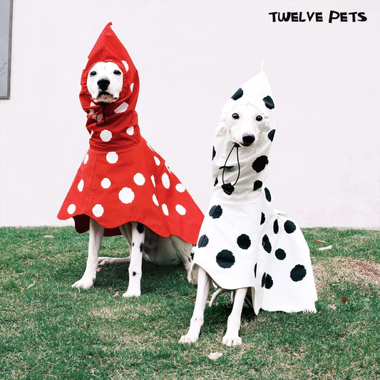 Seasonal Outfits: How to Choose the Perfect Pet Apparel for Every Season