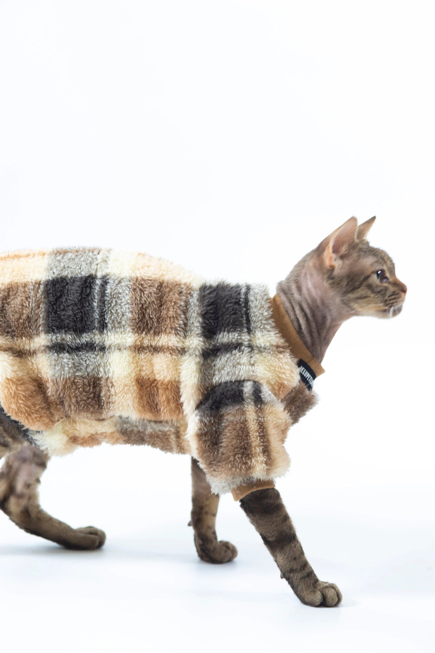 Cat Clothes