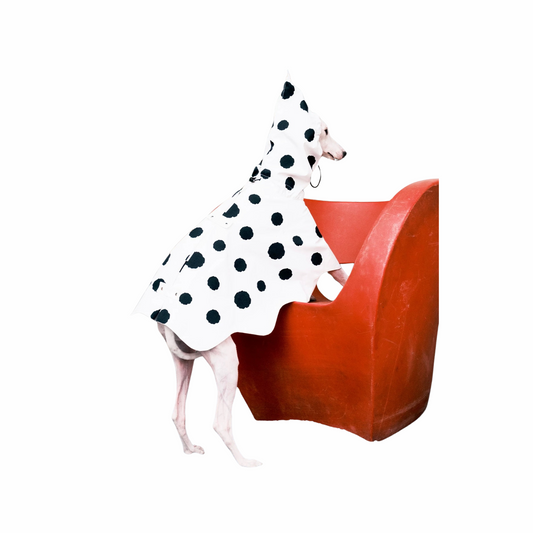 Two-Color Polka Dot Pet Cape Waterproof Raincoat