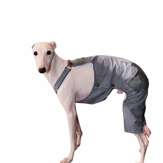 Vintage Style Striped Denim Splicing Two-Color Pet Overalls