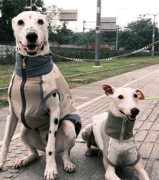 Retro Style Pet Summer Ice Feeling Sun Protection Vest