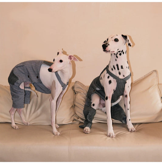 Vintage Style Striped Denim Splicing Two-Color Pet Overalls