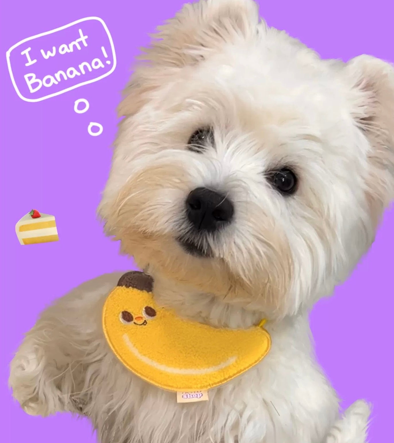 Cute Banana Towel Pet Bibs