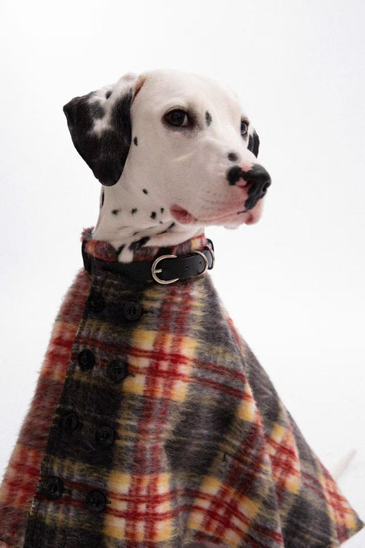 British Style Pet Plaid Cape