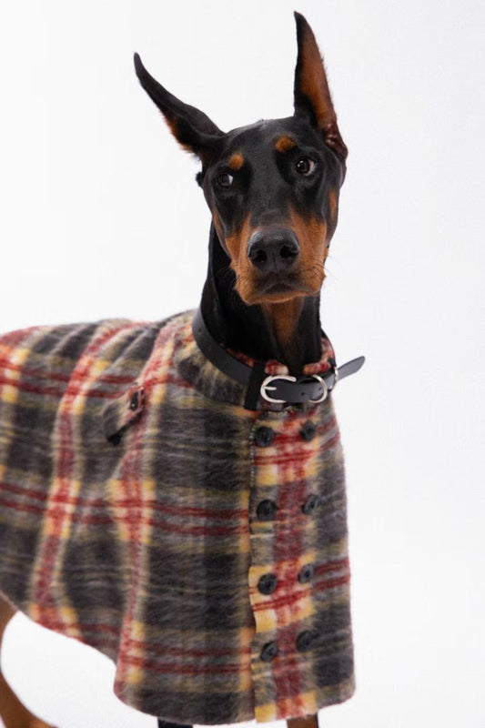 British Style Pet Plaid Cape