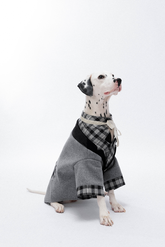 Pet Grey One Piece Suit