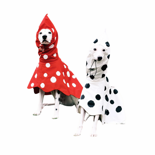 Two-Color Polka Dot Pet Cape Waterproof Raincoat